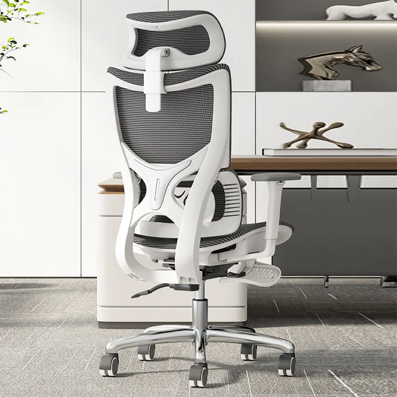 Ergonomic Computer Office Chai - đánh giá và giá Esports & Gaming Optics Gmbh
